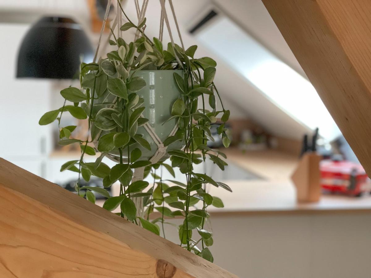 Ferienwohnung Hintermoos Kisslegg Bagian luar foto