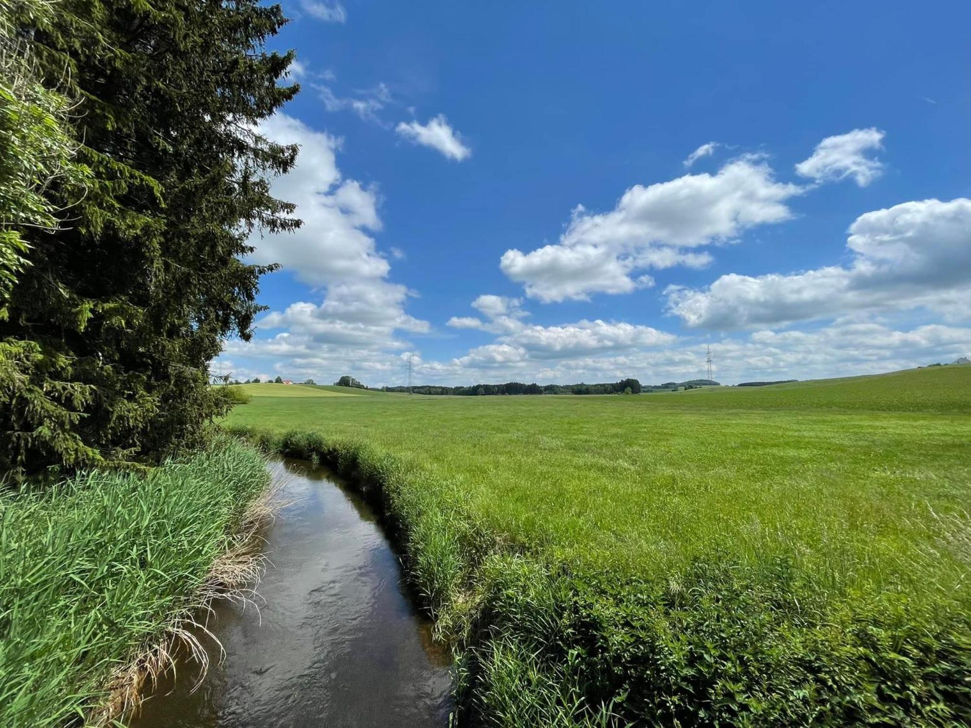 Ferienwohnung Hintermoos Kisslegg Bagian luar foto